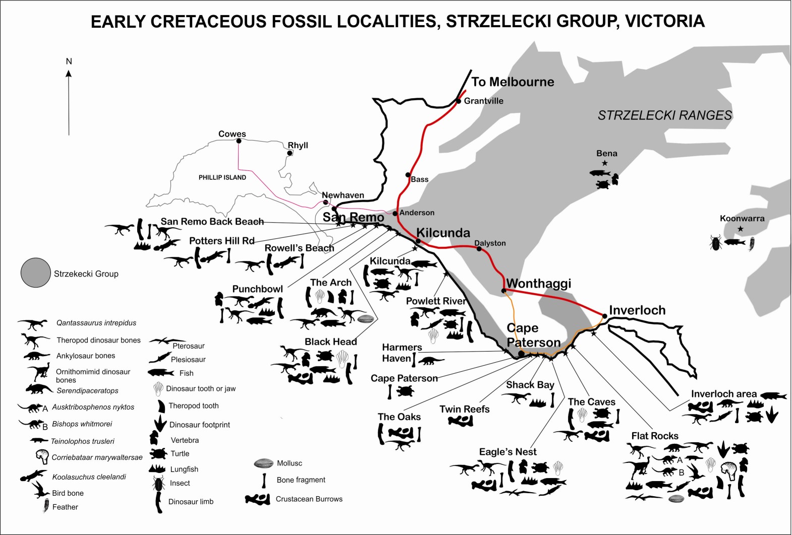 Strz Map