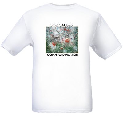 Original_T-shirt